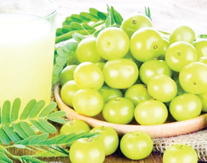 হার্ট ভালো রাখে আমলকী হার্ট ভালো রাখে আমলকী