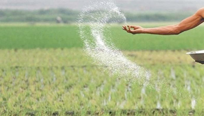 তাড়াইলে কৃষকদের মাঝে সারের তীব্র সংকট, চলছে হাহাকার তাড়াইলে কৃষকদের মাঝে সারের তীব্র সংকট, চলছে হাহাকার