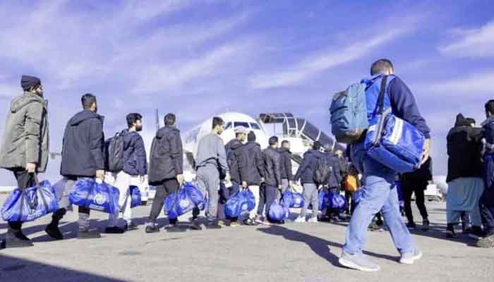 লিবিয়া থেকে দেশে ফিরলেন আরও ৩০৯ বাংলাদেশি লিবিয়া থেকে দেশে ফিরলেন আরও ৩০৯ বাংলাদেশি