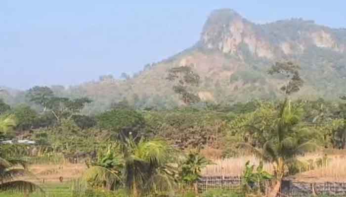 টেকনাফের পাহাড় থেকে ৪৪ জিম্মিকে উদ্ধার টেকনাফের পাহাড় থেকে ৪৪ জিম্মিকে উদ্ধার