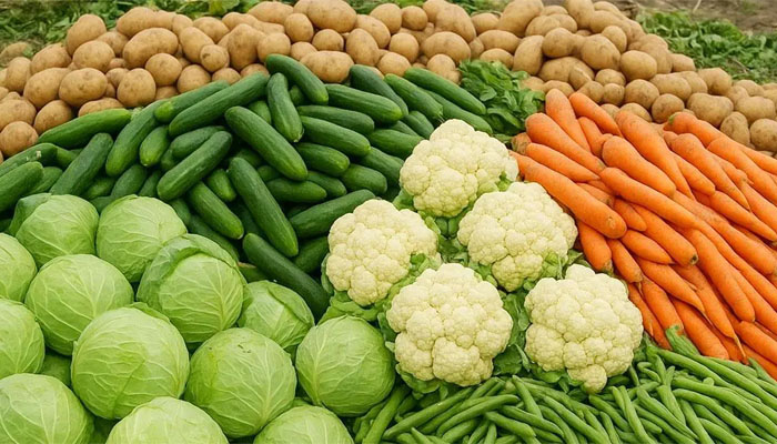 রংপুরে শীতকালীন সবজি উৎপাদনের লক্ষ্যমাত্রা ১১ লাখ টন রংপুরে শীতকালীন সবজি উৎপাদনের লক্ষ্যমাত্রা ১১ লাখ টন