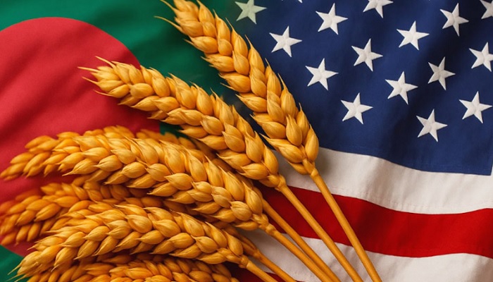 প্রথমবারের মতো যুক্তরাষ্ট্র থেকে গম আমদানি শুরু প্রথমবারের মতো যুক্তরাষ্ট্র থেকে গম আমদানি শুরু