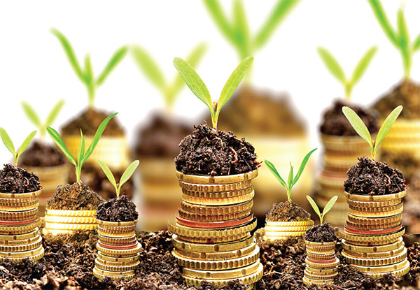 জীবিকা উপার্জনের গুরুত্ব