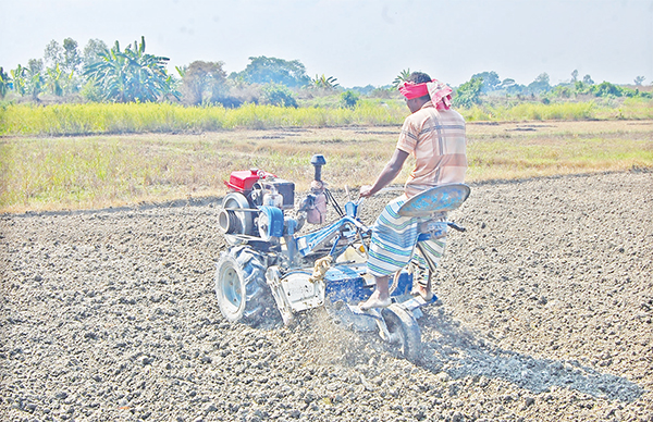 পাওয়ার টিলার দিয়ে জমি তৈরি করছেন কৃষক
