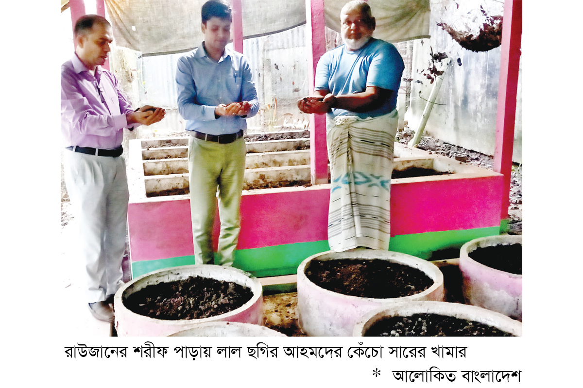 রাউজানে ভার্মি কম্পোস্ট সারের ব্যবহার বাড়ছে