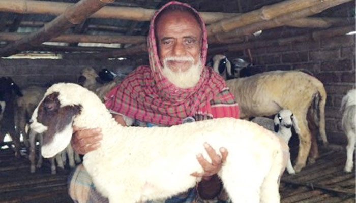 দামুড়হুদায় ভেড়া পালনে স্বাবলম্বী প্রবীণ আব্দুর রহমান দামুড়হুদায় ভেড়া পালনে স্বাবলম্বী প্রবীণ আব্দুর রহমান