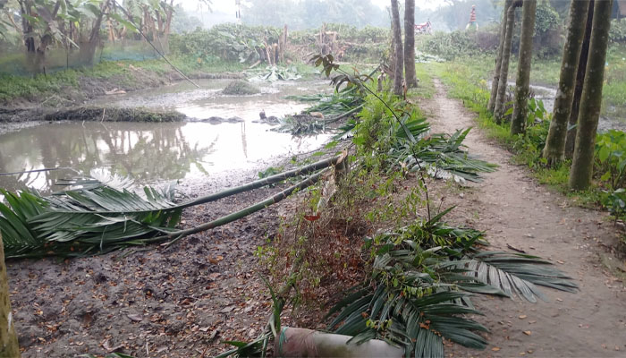 পূর্বধলায় জমি নিয়ে বিরোধে প্রতিপক্ষের গাছ কাটার অভিযোগ