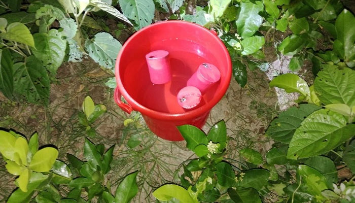 শার্শায় পরিত্যক্ত অবস্থায় ৩টি ককটেল উদ্ধার শার্শায় পরিত্যক্ত অবস্থায় ৩টি ককটেল উদ্ধার