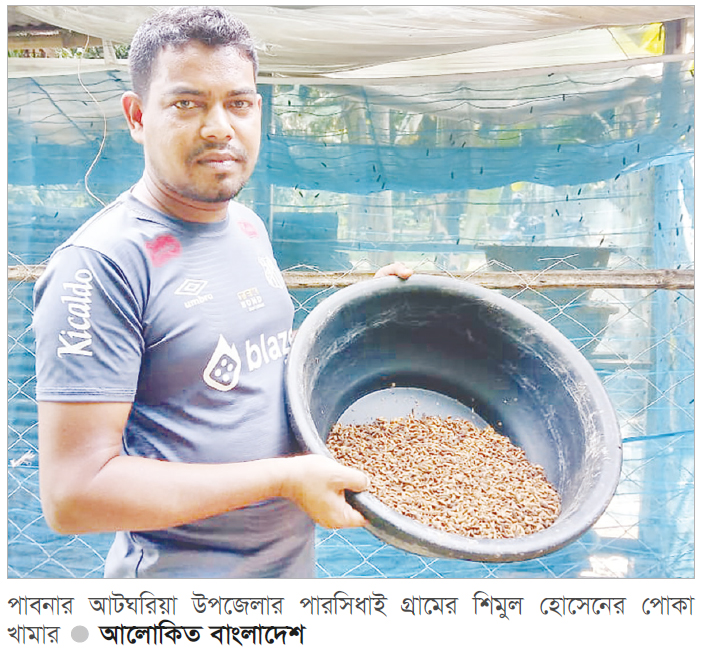 কালো পোকা চাষে হচ্ছে কর্মসংস্থান কালো পোকা চাষে হচ্ছে কর্মসংস্থান