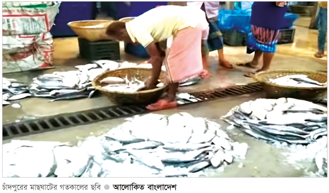 মেঘনায় মিলছে না বড় ইলিশ