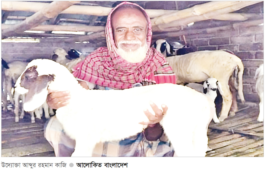 ভেড়া পালন করে ভাগ্যবদল ভেড়া পালন করে ভাগ্যবদল