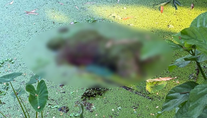 বেনাপোল ঘিবা গ্রাম থেকে অজ্ঞাত যুবকের লাশ উদ্ধার বেনাপোল ঘিবা গ্রাম থেকে অজ্ঞাত যুবকের লাশ উদ্ধার