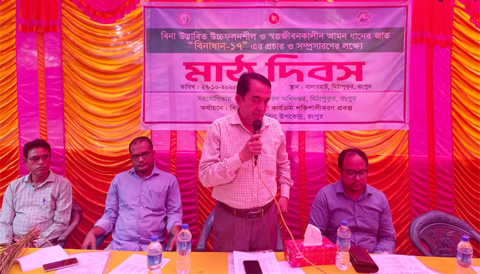 রংপুরে বিনা ধান-১৭ মাঠ দিবস অনুষ্ঠিত