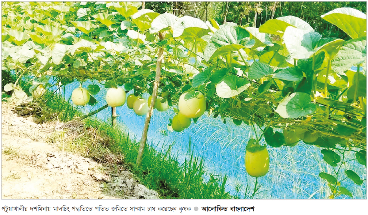 দশমিনায় সৌদির সাম্মাম চাষে বাজিমাত দশমিনায় সৌদির সাম্মাম চাষে বাজিমাত