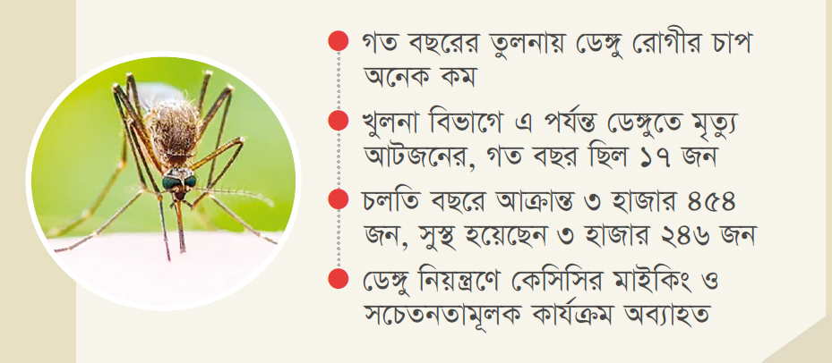 খুলনায় কমেছে ডেঙ্গুর প্রাদুর্ভাব