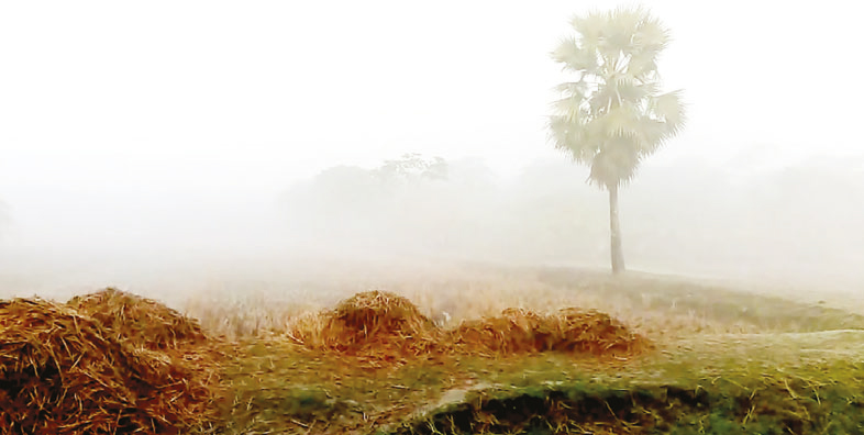 হেমন্তের হিম হাওয়া হেমন্তের হিম হাওয়া