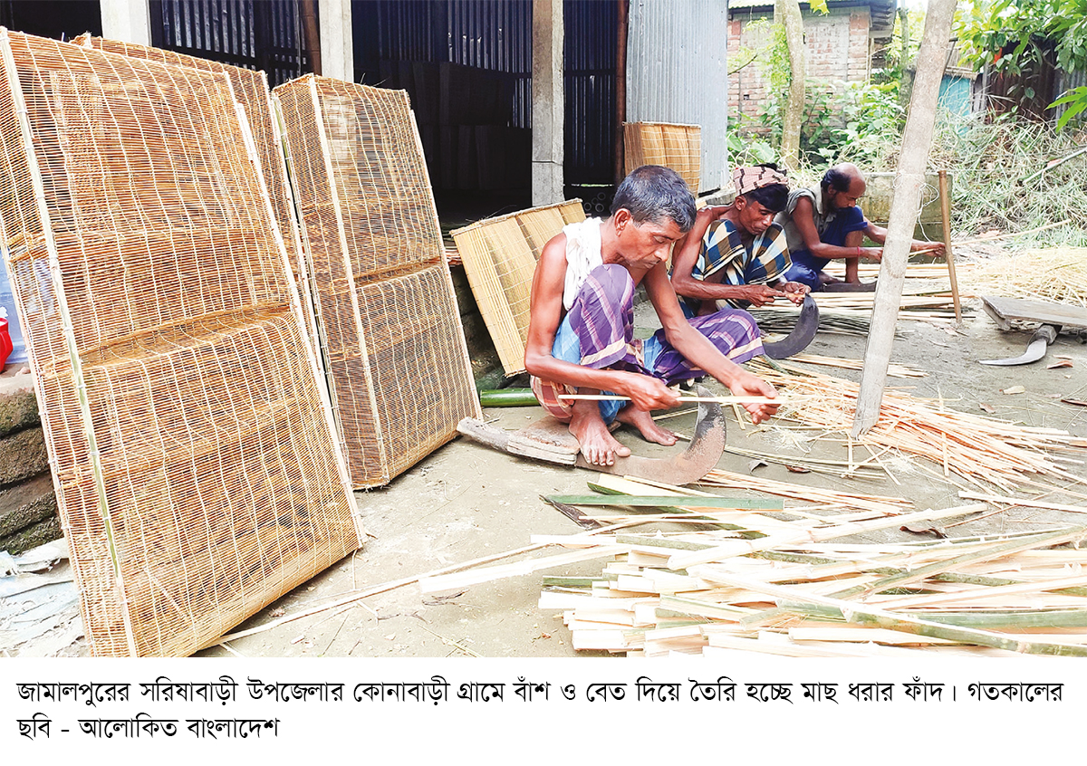 অবৈধ চায়না জালে অচল বাঁশের চাঁই-পলো অবৈধ চায়না জালে অচল বাঁশের চাঁই-পলো