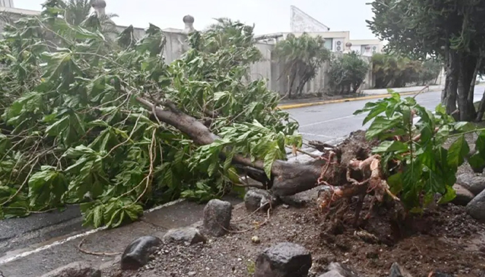 জ্যামাইকায় শতাব্দীর ভয়াবহ ঘূর্ণিঝড়ের আঘাত জ্যামাইকায় শতাব্দীর ভয়াবহ ঘূর্ণিঝড়ের আঘাত