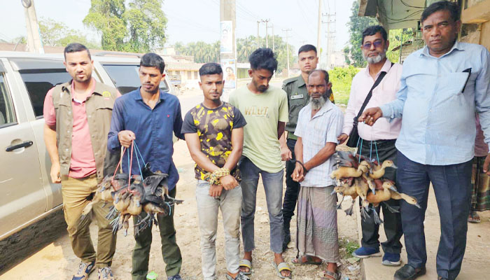 হবিগঞ্জে ২৩টি বন্য পাখি উদ্ধার, ৩ শিকারীকে জরিমানা হবিগঞ্জে ২৩টি বন্য পাখি উদ্ধার, ৩ শিকারীকে জরিমানা