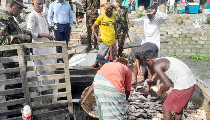 চাঁদপুরে ৩০০ কেজি পচা ইলিশ ধ্বংস, লাখ টাকা জরিমানা চাঁদপুরে ৩০০ কেজি পচা ইলিশ ধ্বংস, লাখ টাকা জরিমানা