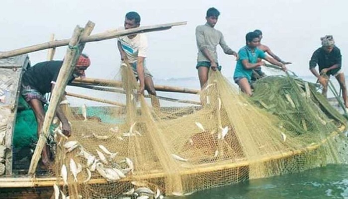 জাটকা শিকারে ৮ মাসের নিষেধাজ্ঞা কার্যকর আজ থেকে জাটকা শিকারে ৮ মাসের নিষেধাজ্ঞা কার্যকর আজ থেকে