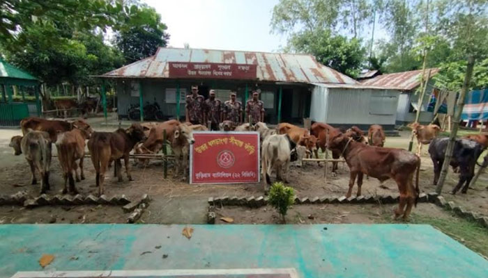 এক মাসে কুড়িগ্রামে ২ কোটি ১৭ লাখ টাকার ভারতীয় পণ্য জব্দ এক মাসে কুড়িগ্রামে ২ কোটি ১৭ লাখ টাকার ভারতীয় পণ্য জব্দ