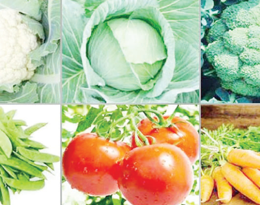 শীতে সবজি কেন খাবেন শীতে সবজি কেন খাবেন