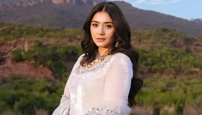 প্রেমের সম্পর্কে জড়াবো না, বিয়ে করব: দুরেফিশান