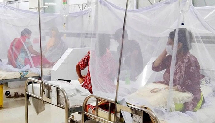 ডেঙ্গুতে আরও পাঁচজনের মৃত্যু, হাসপাতালে ভর্তি ১১৬২ ডেঙ্গুতে আরও পাঁচজনের মৃত্যু, হাসপাতালে ভর্তি ১১৬২