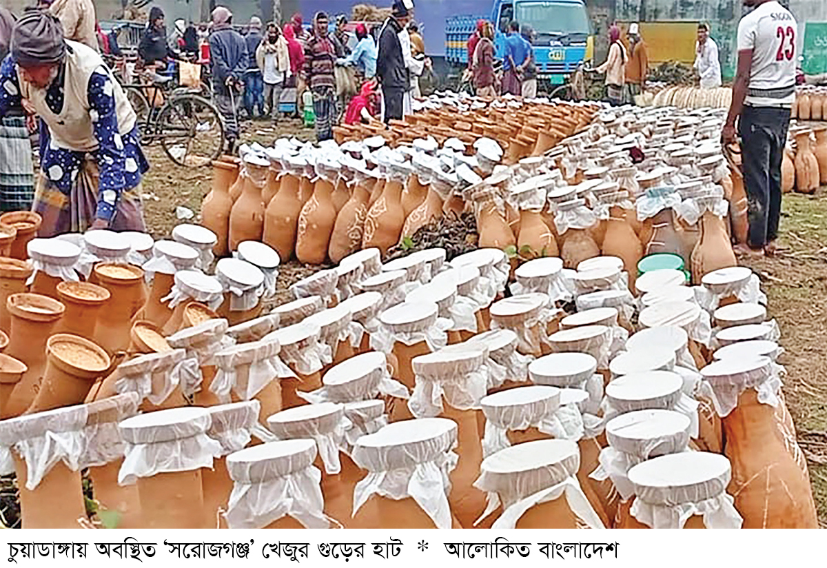 খেজুর গাছের সংকটে ঝুঁকিতে ঐতিহ্যবাহী গুড় শিল্প