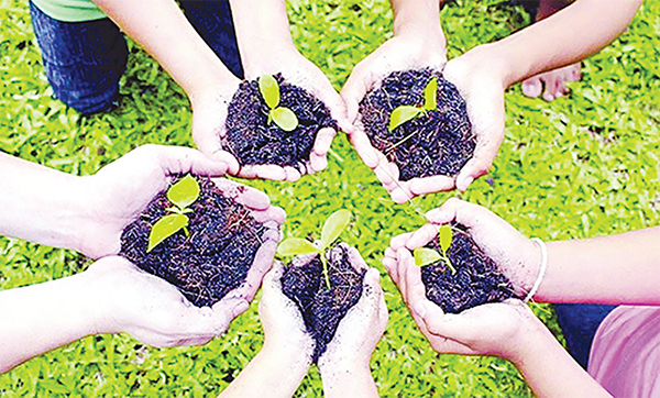 ইসলাম ও বনায়ন ইসলাম ও বনায়ন