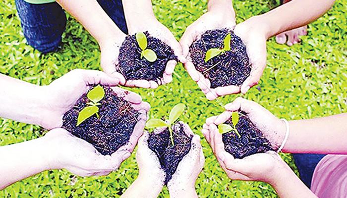 ইসলাম ও বনায়ন ইসলাম ও বনায়ন