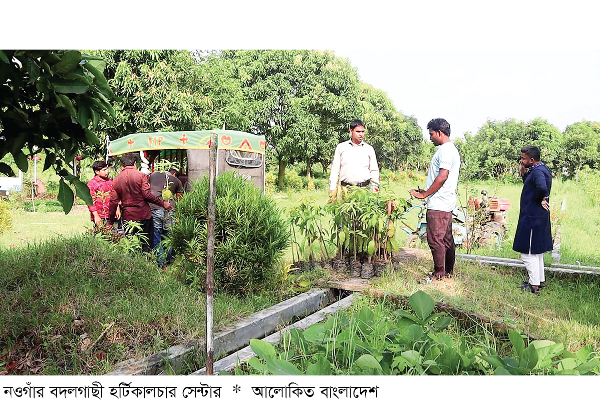 উন্নত জাতের চারার চাহিদা মেটাচ্ছে বদলগাছী হর্টিকালচার সেন্টার উন্নত জাতের চারার চাহিদা মেটাচ্ছে বদলগাছী হর্টিকালচার সেন্টার
