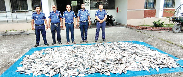 এক টন জাটকা ইলিশ উদ্ধার করল নৌ পুলিশ এক টন জাটকা ইলিশ উদ্ধার করল নৌ পুলিশ