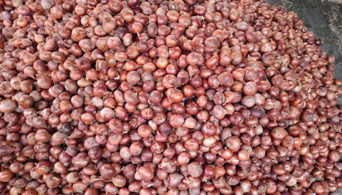 পাঁচ দিনে পেঁয়াজের দাম বাড়ল কেজিতে ৪০ টাকা পাঁচ দিনে পেঁয়াজের দাম বাড়ল কেজিতে ৪০ টাকা