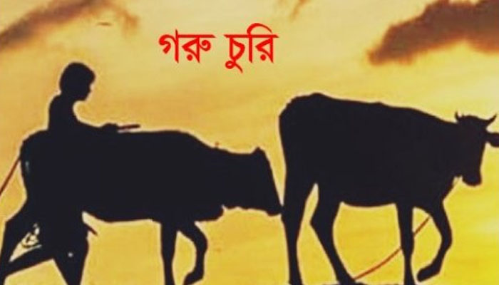 চুয়াডাঙ্গায় কৃষকের গোয়ালঘর থেকে গরু চুরি চুয়াডাঙ্গায় কৃষকের গোয়ালঘর থেকে গরু চুরি