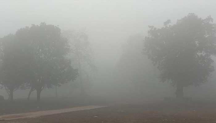 কুয়াশা ও তাপমাত্রা নিয়ে নতুন বার্তা কুয়াশা ও তাপমাত্রা নিয়ে নতুন বার্তা