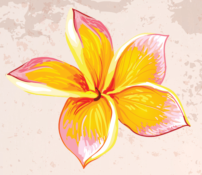 ক্ষমা ক্ষমা