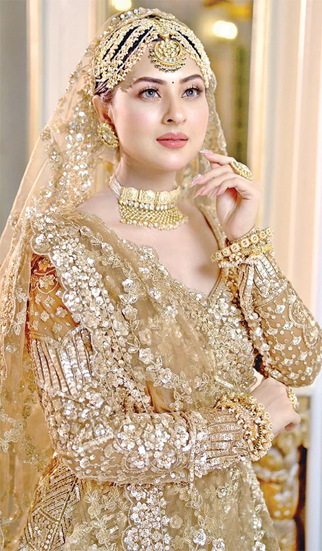 রানির বেশে নজর কাড়লেন শবনম বুবলী