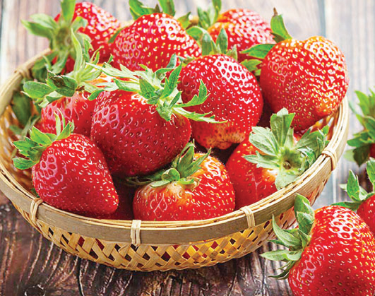 শীতকালে খাবেন স্ট্রবেরি শীতকালে খাবেন স্ট্রবেরি