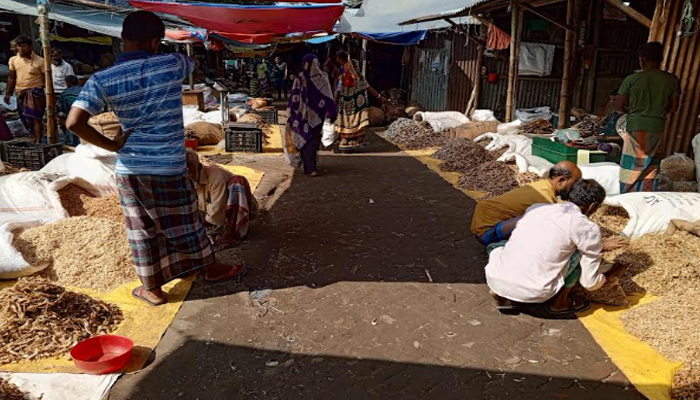 ঈশ্বরগঞ্জের 'নীরব হীরা': আঠারোবাড়ী হাটের শুঁটকিতে বাঁচে হাজার জীবন