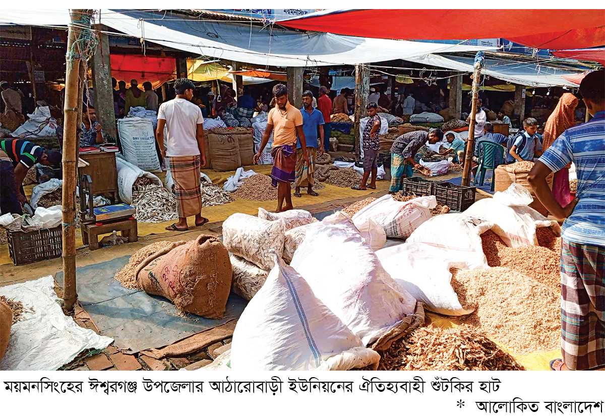 আঠারোবাড়ী হাটের শুঁটকিতে বাঁচে হাজারও জীবন আঠারোবাড়ী হাটের শুঁটকিতে বাঁচে হাজারও জীবন