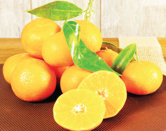 প্রতিদিন একটি কমলা খাবেন প্রতিদিন একটি কমলা খাবেন