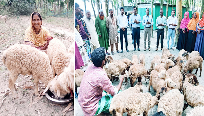 আয়বৃদ্ধিমূলক কর্মকাণ্ডে বদলে যাচ্ছে চরবাসীর আর্থ-সামাজিক জীবন