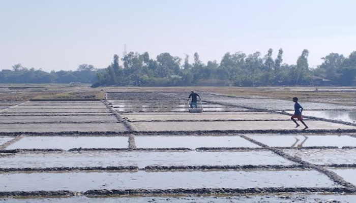 মৌসুম শুরু হলেও মাঠে নেই লবণ চাষিরা মৌসুম শুরু হলেও মাঠে নেই লবণ চাষিরা