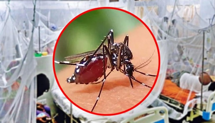 ডেঙ্গুতে আরও ৫ জনের মৃত্যু, হাসপাতালে ১১৩৯