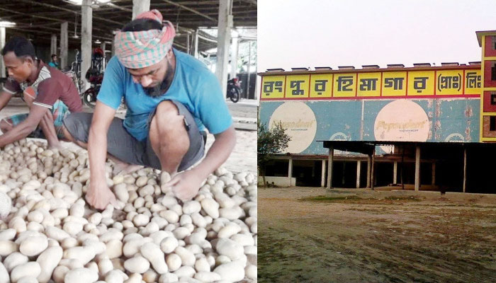 রংপুর কৃষি অঞ্চলের হিমাগারে আলু, বিপাকে কৃষক ও মালিক রংপুর কৃষি অঞ্চলের হিমাগারে আলু, বিপাকে কৃষক ও মালিক