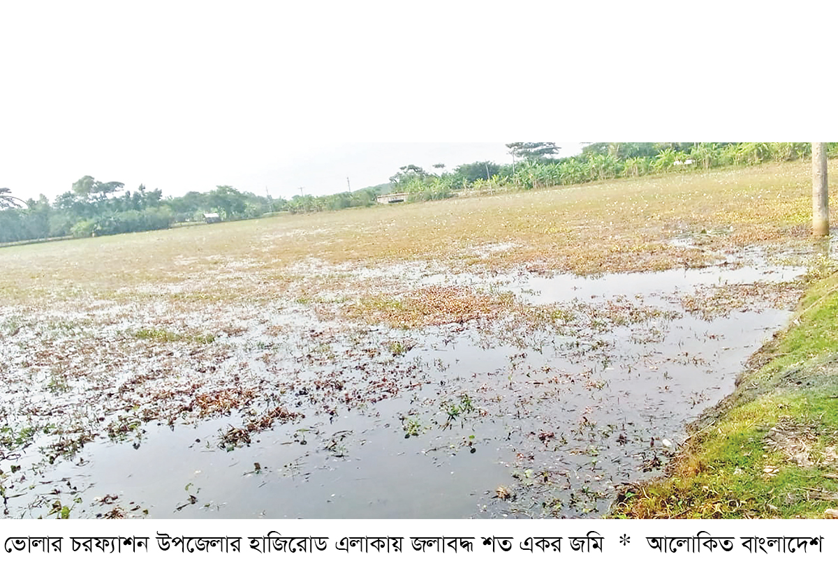 জলাবদ্ধতায় ১০০ একর জমি অনাবাদি