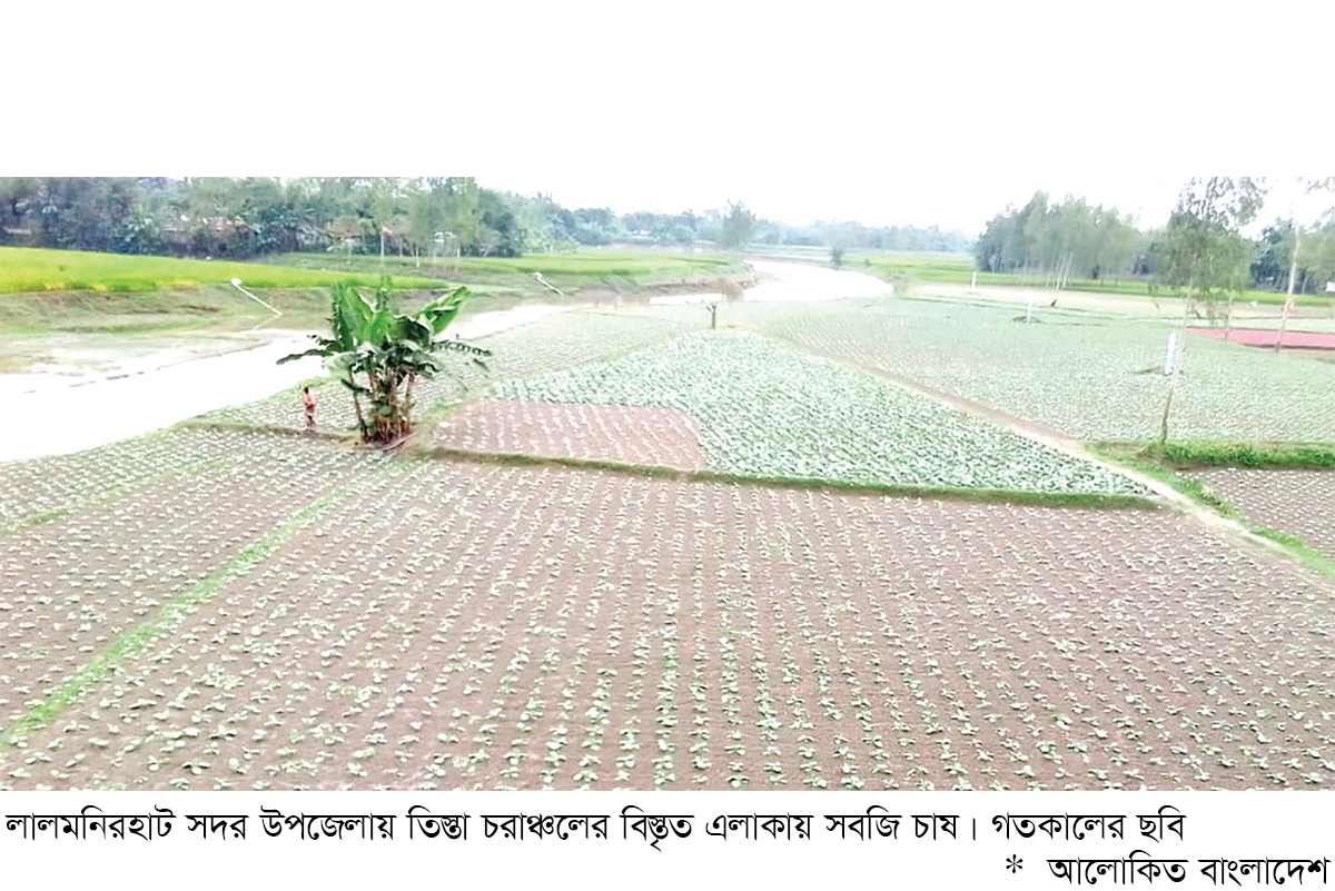 লালমনিরহাটের চরাঞ্চলে সবজি চাষে বিপ্লব লালমনিরহাটের চরাঞ্চলে সবজি চাষে বিপ্লব
