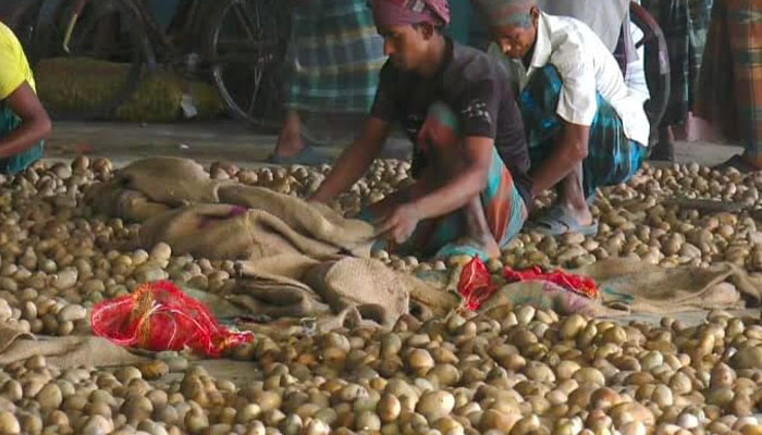 আলুর বাজারে ধস, বিপাকে নীলফামারীর কৃষক ও ব্যবসায়ীরা আলুর বাজারে ধস, বিপাকে নীলফামারীর কৃষক ও ব্যবসায়ীরা